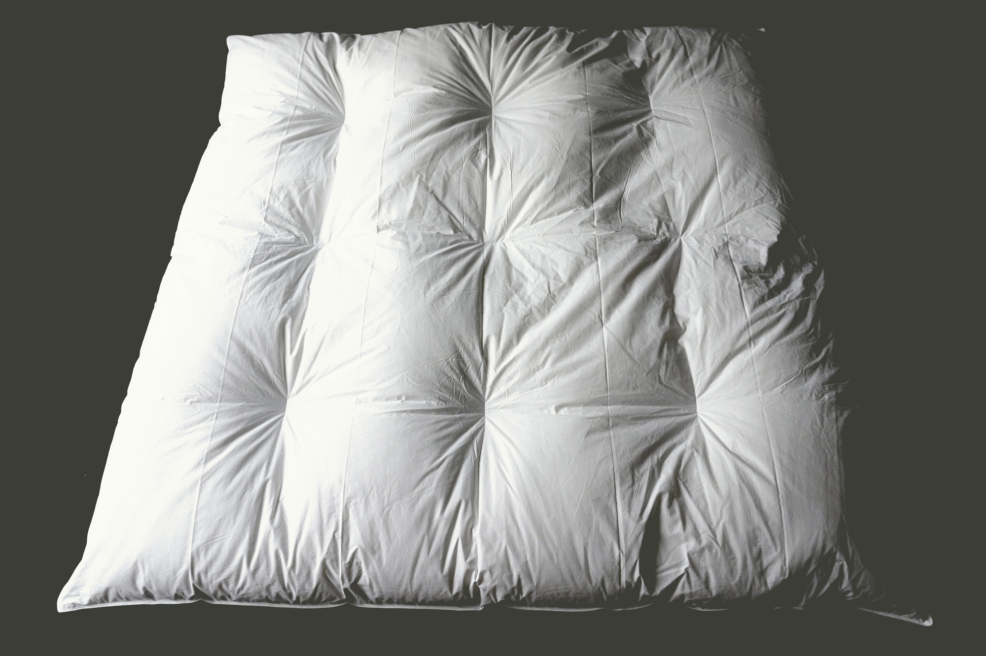 Couette 9 piqûres Duvet d'oie - Duvets Rivière